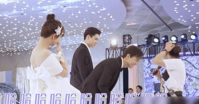 拿破仑：全面战争